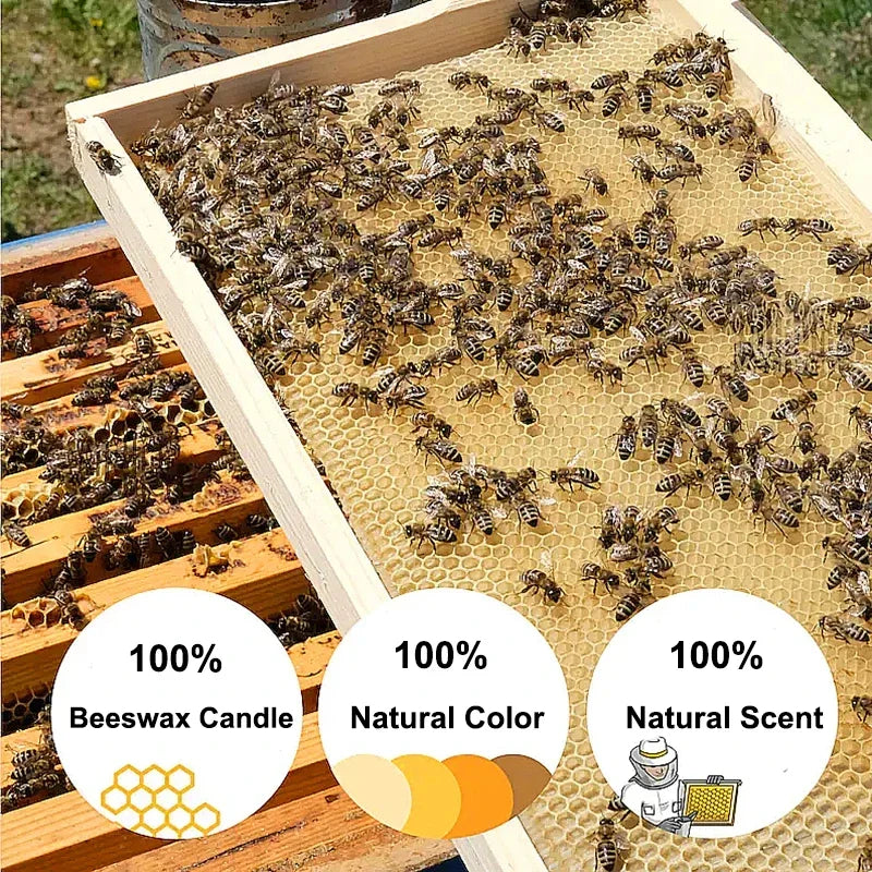 25PCS Natural Beeswax Hanukkah Candles